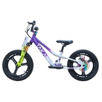 TAKANI Electric Balance Bike 16" TK1652-RS Plum Silver Product thumb image 2