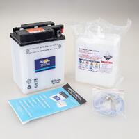 Roadstar Battery Flood Cell 6Volt 13Ah B38-6A Product thumb image 2