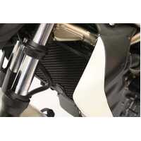 RAD Guard black SUZ Gladius Product thumb image 2