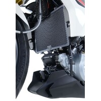 R&G Radiator Guard TI - BMW G310R/G310GS (COLOUR:TITANIUM) Product thumb image 2