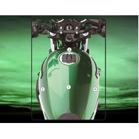 Eazi-Guard Tank Protection Film for Kawasaki Z650RS  gloss